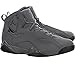 Air Jordan True Flight Cool Grey/Black
