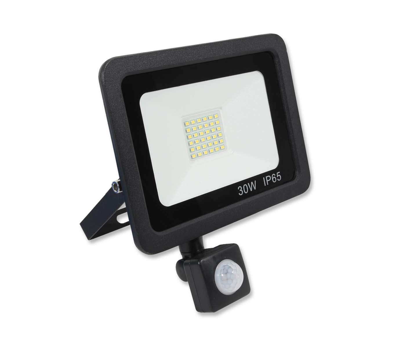LOWENERGIE LED FloodLight Waterproof IP65 (Black, 30w PIR)