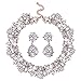Jane Stone Fashion Gold Collar Necklaces Bling Rhinestone Jewelry Set for Women Girls(Fn1389-White)