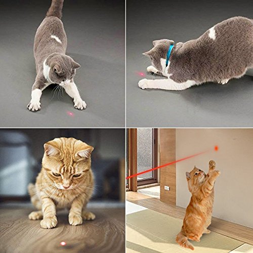 Modiok Cat Laser Pointer, 2 in 1 Interactive Pet Catch Led Chaser Toys with Red Laser and Flashlight, Great for Pet Cats Dogs Training and Exercise -2 Pack