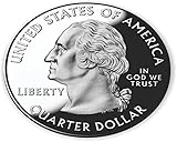 Rikki Knight Quarter Silver Coin Design 8" inch