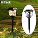 MAGGIFT Solar Pathway Lights, 8 Lumens, Black, 6 Pack, Waterproof, Easy to Install, Decorative, Solar Powered