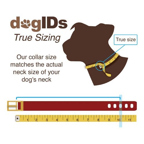 dogIDS Orange Personalized Waterproof Dog Collar with Engraved ScruffTag Nameplate - Smell Resistant Collar (1 Inch Wide - Fits Neck Sizes of 22-26 Inches)