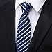 WeiShang Classic Men's Silk Tie Necktie Woven JACQUARD Neck Ties