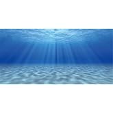 AWERT Undersea Aquarium Backdrop Sunshine Fish Tank Background 24x12 inches | Ocean Floor Underwater World Vinyl Background
