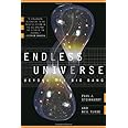 Endless Universe: Beyond the Big Bang