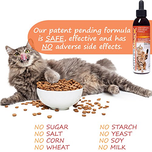 ArthriMaxx Wellness Supplement & Liquid Joint Support for Cats, 6oz