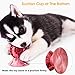 Dog Chew Toys, 2 Pcs Pet Chew Toys for Aggressive Chewers, Durable Teeth Cleaning Toys Dog Toothbrush Stick, Dog Toothbrush Bone Chew Toys for Playing, Throwing, Chasing, Biting, Training Teething Toy