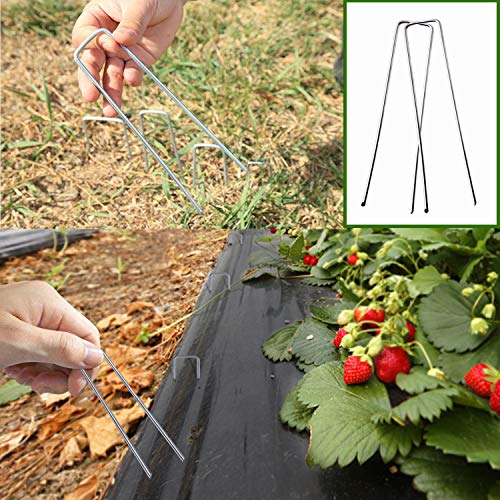 Galvanized Garden Stakes, ZOUTOG 150 Pack 6-inch Landscape Fabric Stakes Staples for Securing Sod Ground/Ground Cover/Pets Fences/Weed Barrier Fabric/tarps/Wires