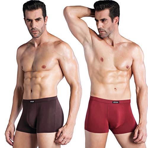 wirarpa Men's Breathable Micro Modal Trunk Underwear Covered Waistband