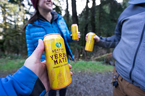Organic Yerba Mate, Orange Exuberance - Image 7