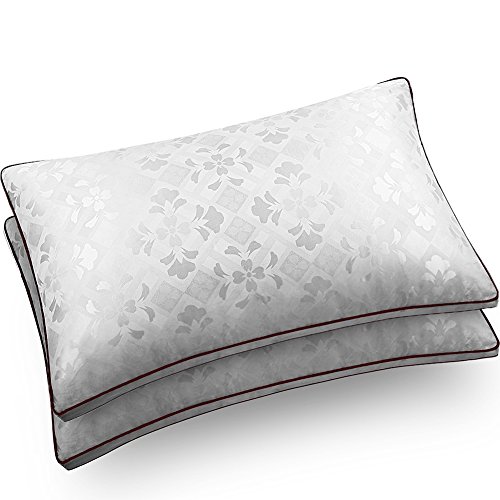 Pillows for Sleeping, AMZ Original Soft Silk Cotton Pillow with Dust Mite Repellent Feather Velvet for Firmable and Breathable Sleep, Queen (2 Pack)