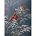 5D Diamond Painting Full Drill, feilin Bird Painting Cross Stitch Full Drill Crystal Rhinestone Embroidery Pictures Arts Craft for Home Wall Decor Gift 30x40cm