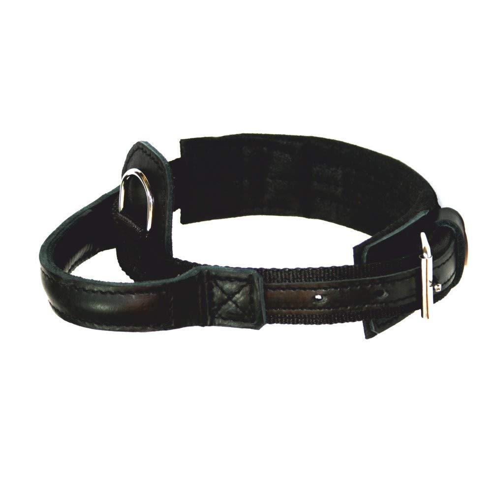 DINGO GEAR 1977 Hero Polypropylene Band Dog Collar Handmade Strong Handle Adjustable S04012, Black, 300 g