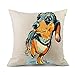 Redland Art Cute Pet Animal Dachshund Dog Pattern Throw Pillow Covers Linen Cushion Cover Cases Pillowcases Car Sofa Home Decor 18”x 18”Inch (45 x 45cm)