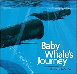 baby journey book