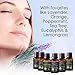 Botanic Hearth Hair Oil 0.3 fl oz