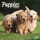 Puppies Calendar - Cute Animals Calendar - Dog Breed Calendars - Calendars 2017 - Calendars 2019 - 2 by 