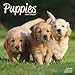 Puppies Calendar - Cute Animals Calendar - Dog Breed Calendars - Calendars 2017 - Calendars 2019 - 2 by 