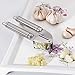 Professional Garlic Press - Stainless Steel Kitchen Utensil Includes Clove Peeler and Cleaning Brush - Best Choice to Mince & Crush Cloves and Ginger