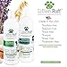 Lillian Ruff PRO Formula Deodorizing Oatmeal Dog Shampoo & Conditioner Set - Calm Itching & Allergies, Ultra-Nourishing Dry Skin Relief - Oatmeal, Aloe, Coconut Oil, Lavender & Provitamin B5, USA Made