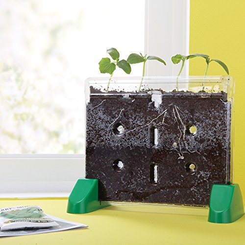 Educational Insights Sprout & Grow Window