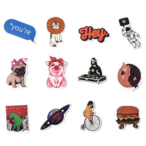 Laptop Sticker Pack 100 Pcs for Water Bottles Sticker Unique Cool Vsco Stickers for Hydro Flask Notebook Guitar Skateboard Refrigerator Travel Kid Adults DIY Bedroom Vinyl Stickers Waterproof