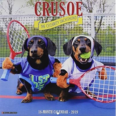 Crusoe the Celebrity Dachshund 2019 Wall Calendar Kenya Ubuy