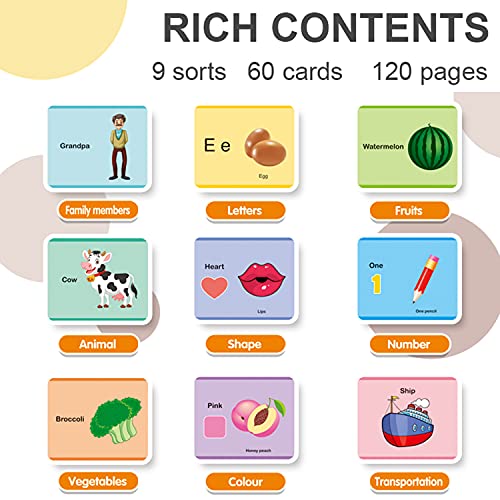 Flash Cards for Toddlers 2-4 Years - CBsana Kids Preschool Learning Flash Cards Set with Number Shapes Animals ABC Letters Fruits Color, 9 Learning Category,120 Page, Gifts for Ages 2 3 4 5 6 Kids