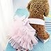 Wakeu Small Dog Girl Dress Pet Puppy Cat Lace Tutu Stripe Vest Skirt Clothes (M, Pink)