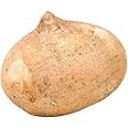 Bristol Farms, Jicama, 1 Count