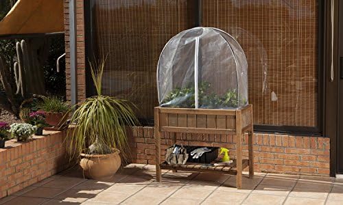 Catral 75050002 - funda invernadero y antipajaros para huerto ...