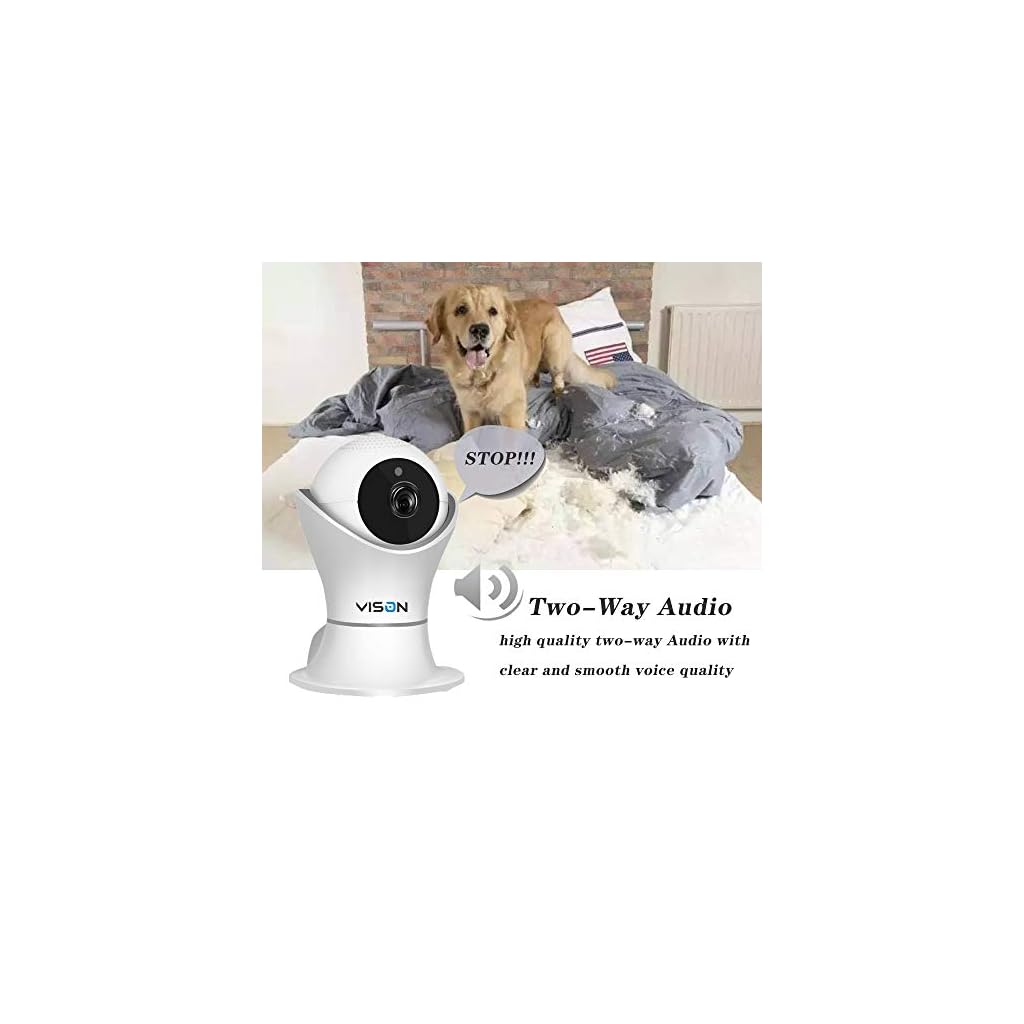 indoor dog camera