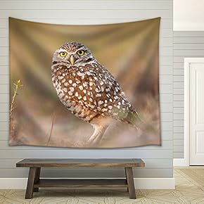 a Standing Owl - Fabric Wall Tapestry Home Decor - 51x60 inches