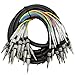 Seismic Audio SASRT-16x25 - 25-Feet Long 16 Channel 1/4-Inch TRS Snake Cable