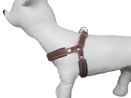 chewy dog food hill's science diet