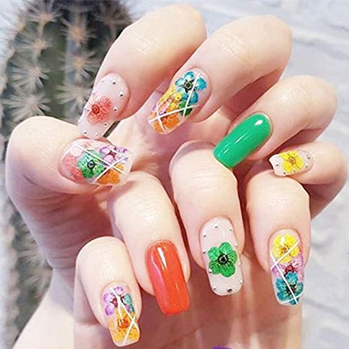 editTime 36 Colors Nail Dried Flowers 3D Nail Art Sticker, Flower Beauty Nail Stickers for Manicure, Natural Real Dry Flower Kit with a Curved Tweezers and a Nail Brush(4) - Thumbnail 7