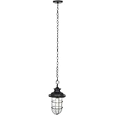 SAFAVIEH Lighting Collection Adelle Black Outdoor Pendant Hanging Light Fixture (LED Bulb Included)