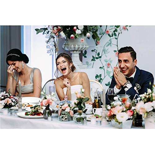 image for Mint Tableware 50 Plastic Disposable Party Dinner Plates White with Si