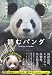 読むパンダ