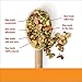 SOJOS Complete Natural Grain Free Dry Raw Freeze Dried Dog Food Mix, Beef, 2-Pound Bag