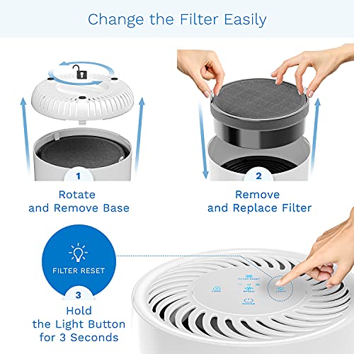 hOmeLabs Compact Air Purifier with Bonus Replacement Filter 7.8” by