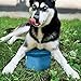 Kurgo Zippy Bowl for Dogs, Collapsible Travel Dog Bowls, Pet Food & Water Hiking Container, Food Grade Silicone, Travel Accessories for Pets, Includes Carabiner, Holds 48 oz (Barn Red)