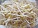 Mung Bean Seeds for Sprouting - Organic (1lb)