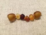 1.5 Inch Raw or Polished Milk Multi Cherry Lemon Cognac Carmel Honey Brown Baltic Essentials Amber Teething Necklace extender for Infant teen adult necklace screw clasp extend. (Raw Multi)