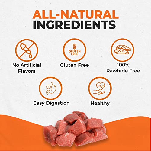 Canine Naturals Beef Chew Rawhide Free Dog Treats Made with Real