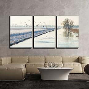 3 Piece Canvas Wall Art - Birds Flying Over a Snowy Canal in Winter - Modern Home Art Stretched and Framed Ready to Hang - 16"x24"x3 Panels