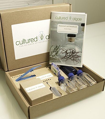 Cultured Algae Seaweed Science Kit