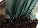 Cokos Novelty Adult Women Frozen Anna Elsa Coronation Dress Costume (XL & Necklace, Olive)