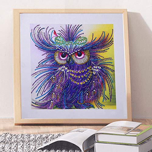 Staron  Newest 5D Diamond Painting Kits - Rhinestone Special Shaped 5D Drill Cross Stitch Craft Kits Picture Paint with Diamonds Home Wall Arts Decor Mosaic Making (Owl Style 2)